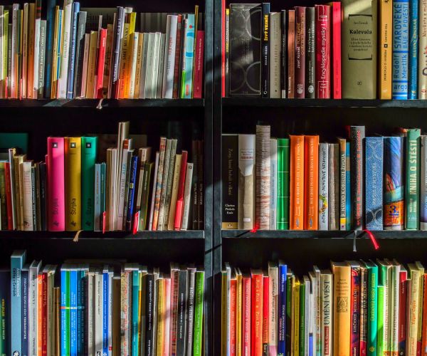 Equo canone. Ovvero del canone letterario a scuola/7 Tre domande a Elisabetta Menetti