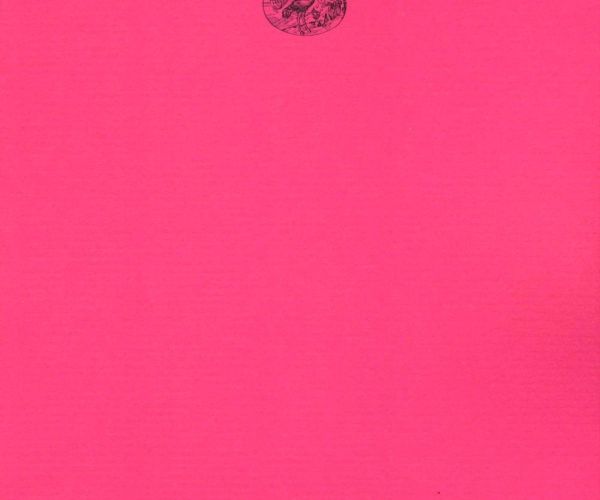 Perché leggere Althénopis di Fabrizia Ramondino