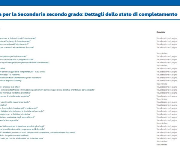 Se 20 ore vi sembran poche: la formazione INDIRE per Orientatore e Tutor