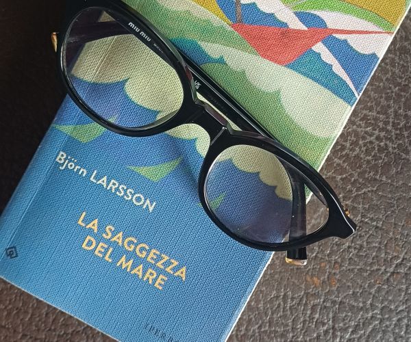 Non fate la guerra, andate per mare! Su “La saggezza del mare” di Björn Larsson