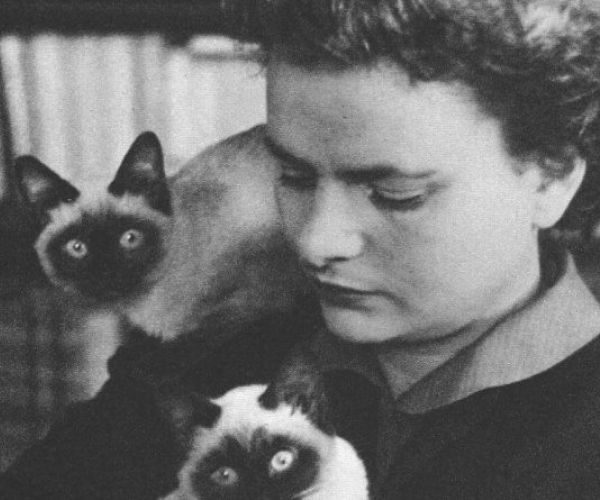 Perché leggere Menzogna e sortilegio di Elsa Morante