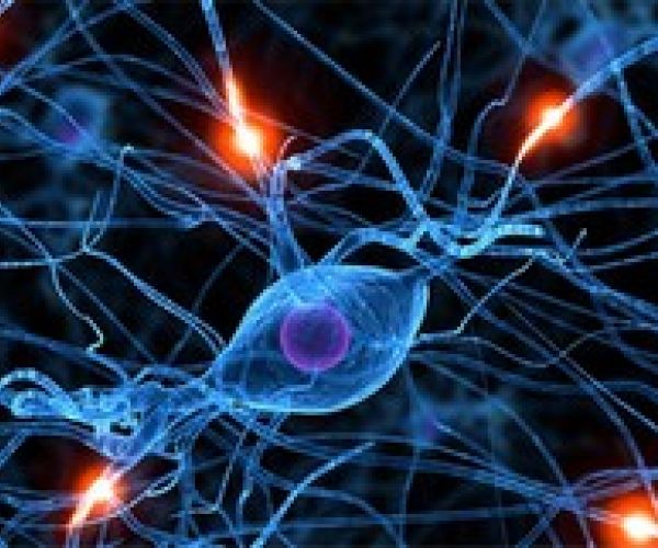 Le forme dell’emozione. Qualche nota su letteratura e scienze cognitive